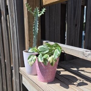 Valentine's Day Love Hearts 4.5" and 5" Plastic Planter Set Of Two